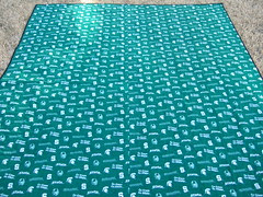 "S" quilt back