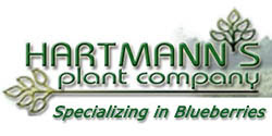 Hartmann's Plant Company