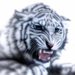リアリズム絵画 動物の絵 動物イラスト ホワイトタイガー 歩くホワイトタイガー