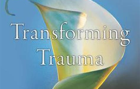 Read The Transformation: Discovering Wholeness and Healing After Trauma Internet Archive PDF