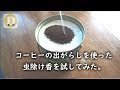 大葉 虫除け コーヒー 281086-大葉 虫除け コーヒー