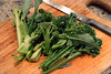 broccoli harvest