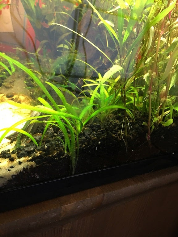 Click image for larger version Name: IMG_0957 re.jpg Views: N/A Size: 165.5 KB ID: 154418