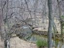 Difficult Run, Vienna Virginia