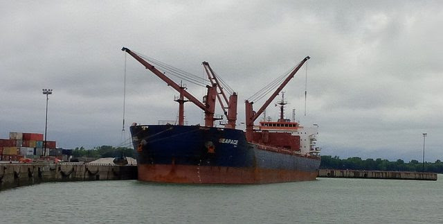 mv seapace bulk carrier