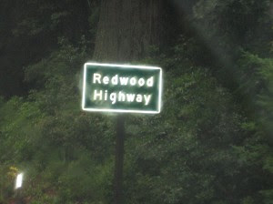 Redwood Highway