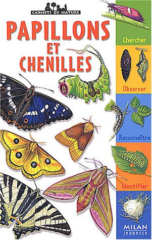 Papillons et chenilles Papillons et chenilles
