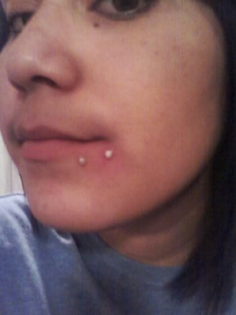 double spider bites piercings. spider bites piercing pics.