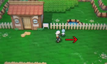 オメガルビー Oras の自動レベル上げ 孵化 なつき度上げの方法
