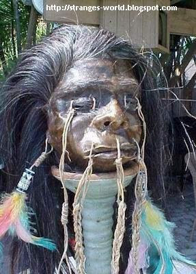  Gambar Aneh  Yang Mengejutkan 