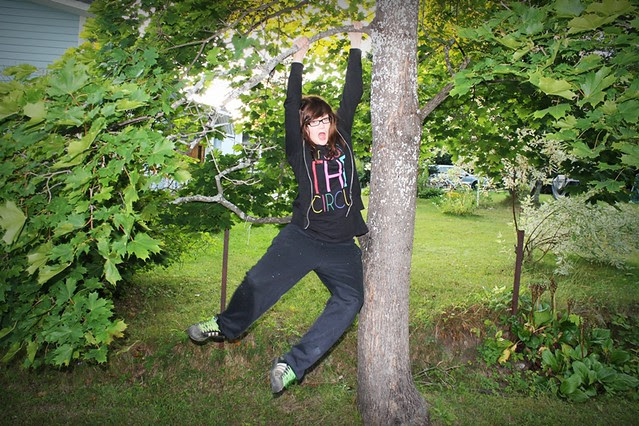 roikkulaura