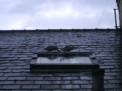 Photo 1224 4