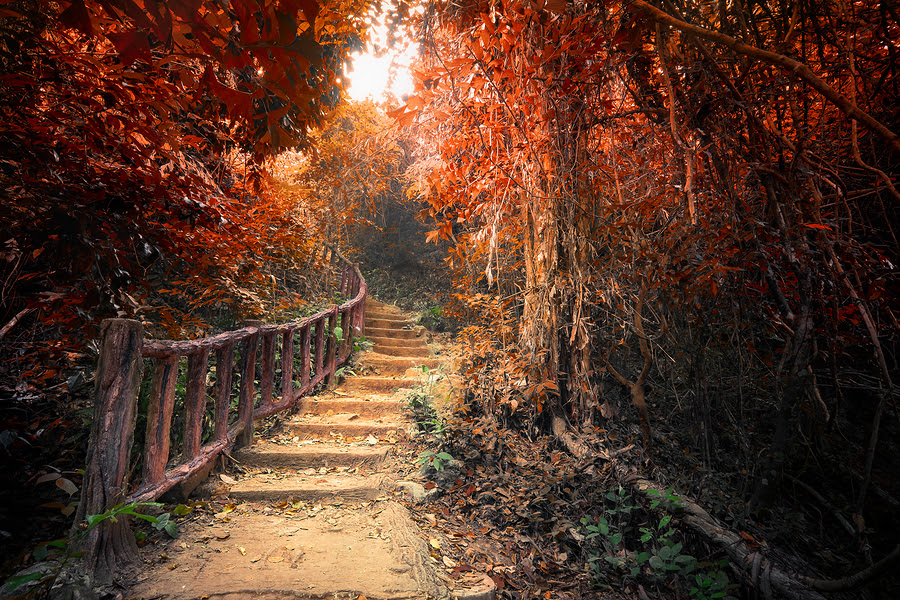 What Does the Path To Success Look Like?