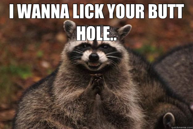 I Wanna Lick Your Butt Hole Evil Plotting Raccoon Quickmeme