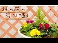 秋のガーデニング 寄せ植え 464746-秋のガーデニング 寄せ植え