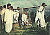 Gandhi the Miracle Worker Gandhi the Miracle Worker