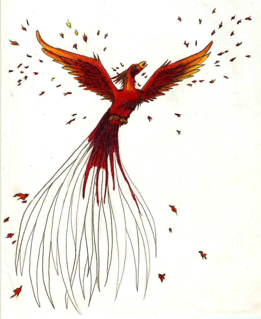 Phoenix Rising From The Ashes Drawing at GetDrawings ...