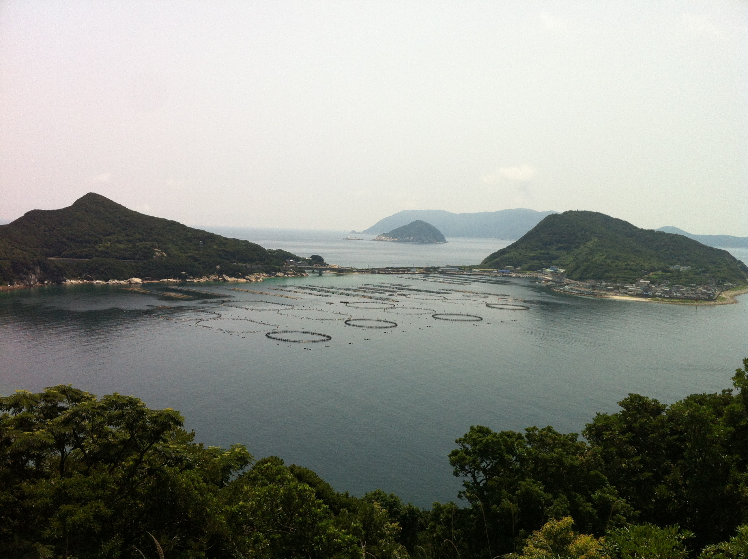 四国にも綺麗な海と珊瑚礁 ダイビングのメッカとしても知られる高知県柏島を紹介 日本一周視点
