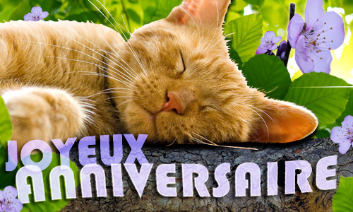 Carte Virtuelle Anniversaire Avec Chat Wizzyloremaria Official