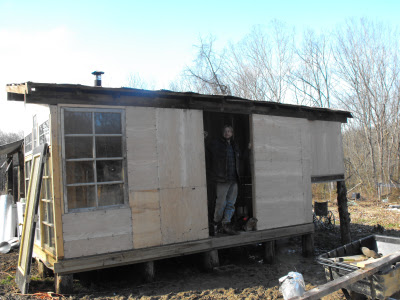 How Much Does It Cost to Build a Shed Home