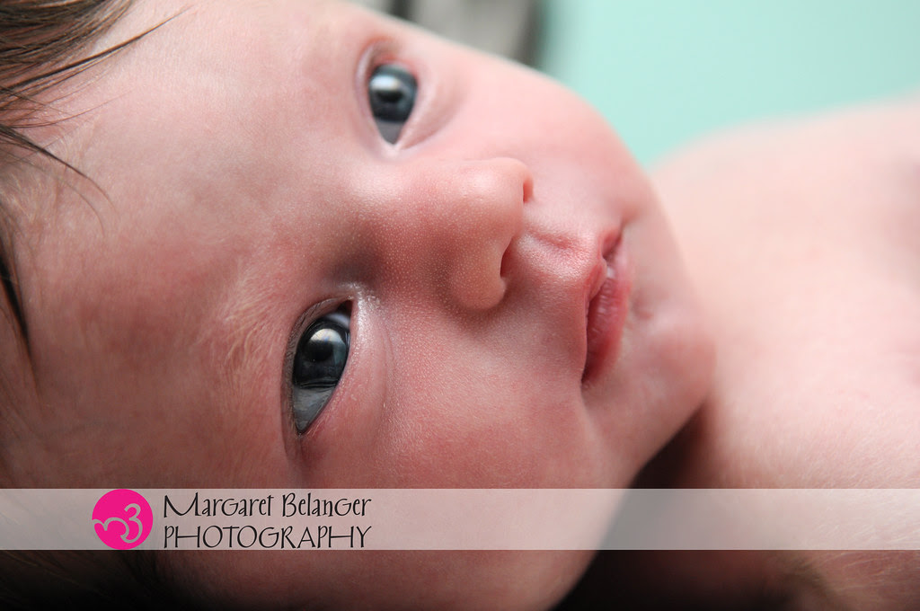 Boston-Area-Newborn-Photography-Baby-Harper