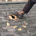 Squirrel Proof Gable Vent : If so, read how william justice, a frequent visitor and contributor to the squirrel message board, described how he fixed his gable vent and solved his problem.
