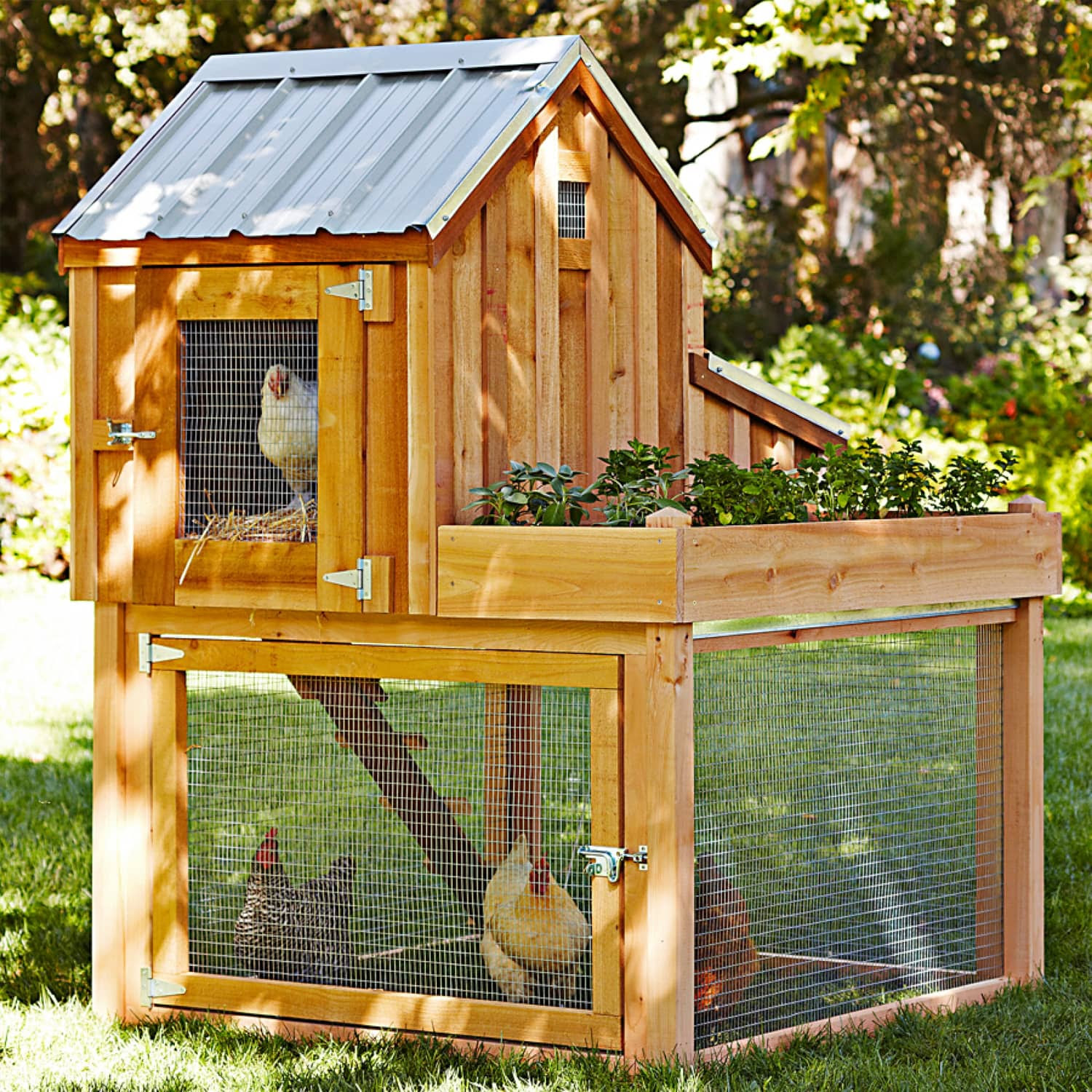 Cedar Chicken Coop and Run with Garden Planter - The Green ...