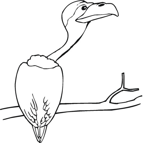 Download Vulture Sitting on the Tree coloring page | Free Printable Coloring Pages