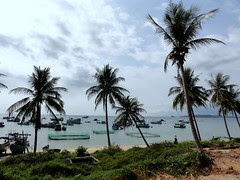 DSC08401