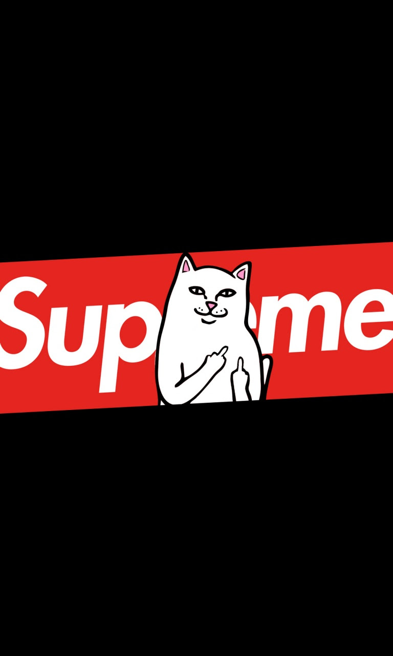 Supreme Cat Ultra Hd Desktop Background Wallpaper For 4k Uhd Tv