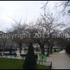 image host