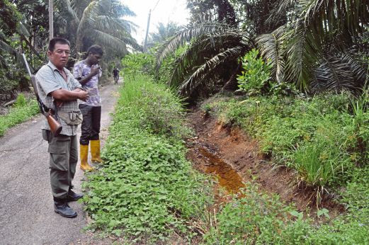 Penjejak haiwan perosak kebun  Harian Metro