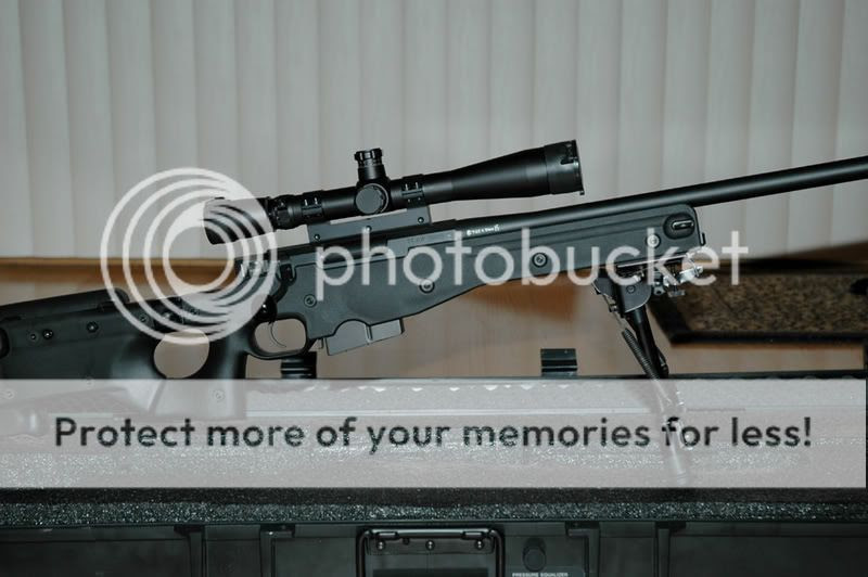 accuracy international rifles