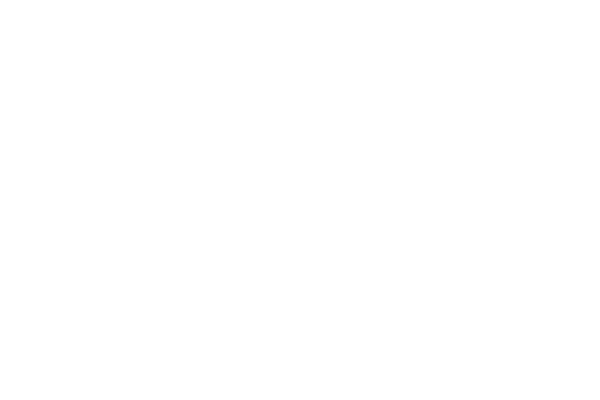 レースハート レース素材専門サイト Da Lace ダ レース