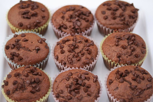 Nigella's Chocolate Chocolate-Chip Muffins