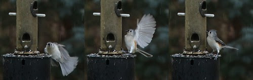 landing