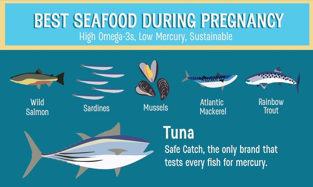 Bryan Boches is Putting Canned Tuna Back on the Menu for Pregnant Women