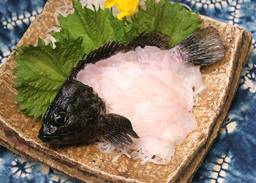 ムラソイ 斑曹以 釣魚料理大全 海水編 房総爆釣通信