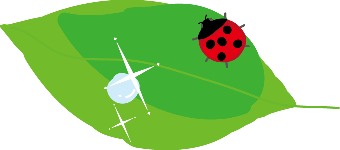 てんとう虫のイラスト 無料イラストフリー素材