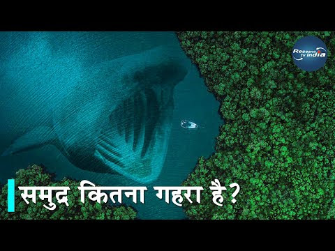 चित्र