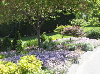 grass free front yard | Johntheplantman's stories, musings, and ...