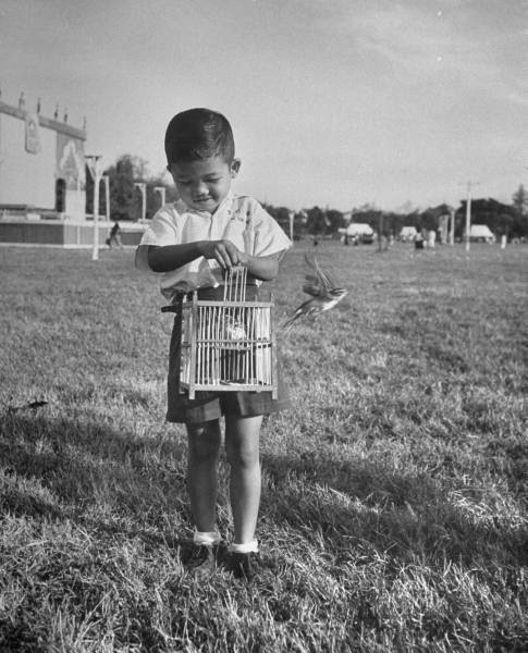 A boy releasing a bird from its cage, which signifies good luck in Buddhism. Photograph by Dmitri Kessel. Bangkok, Thailand, March 1950.
