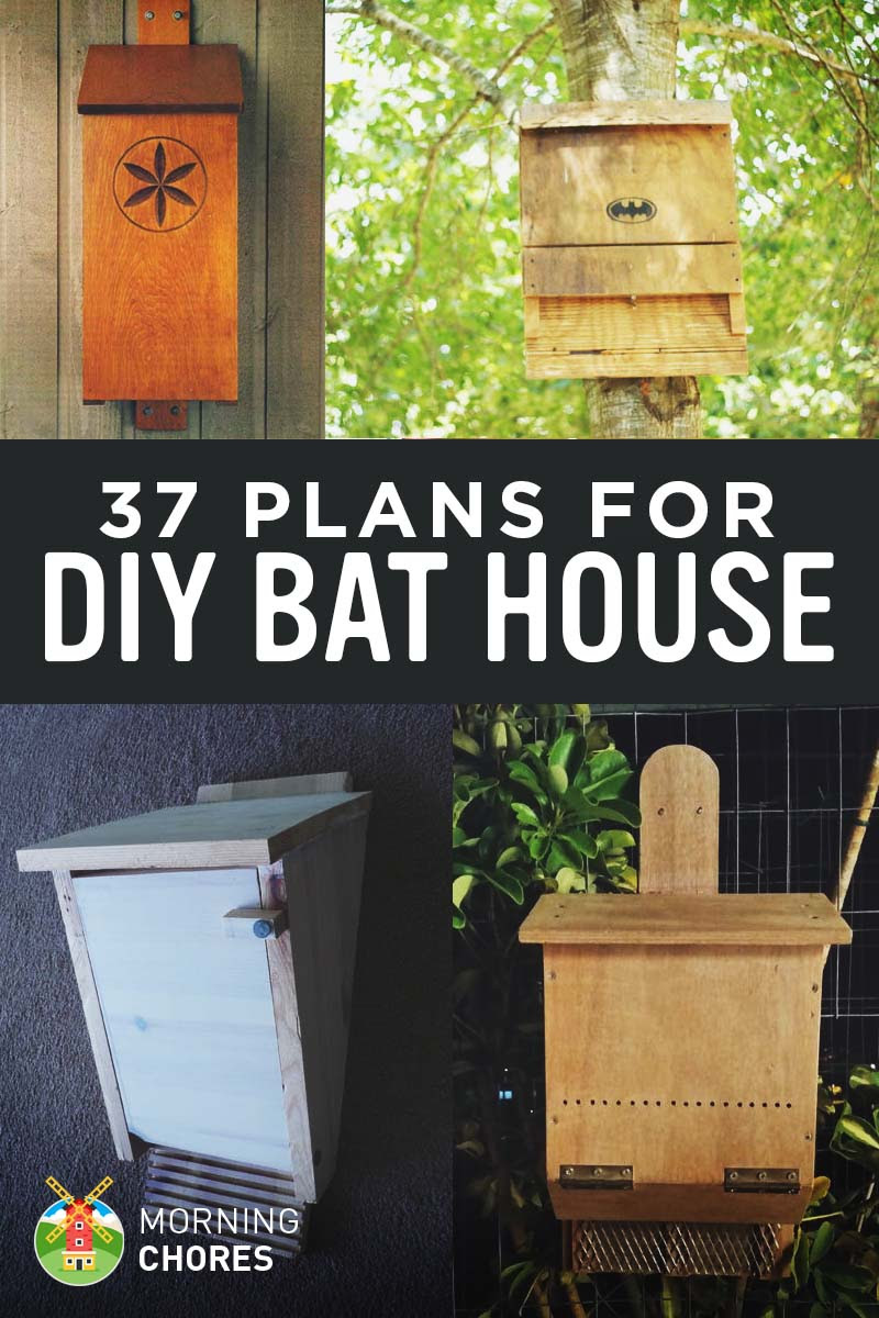 37 Free DIY Bat House Plans that Will Attract the Natural ...