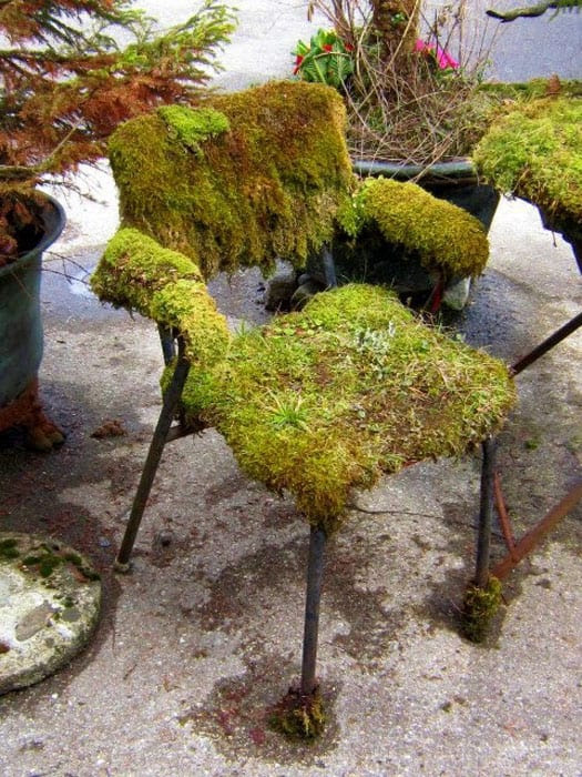 These Natural Seats Will Make Your Yard Look Unique ...