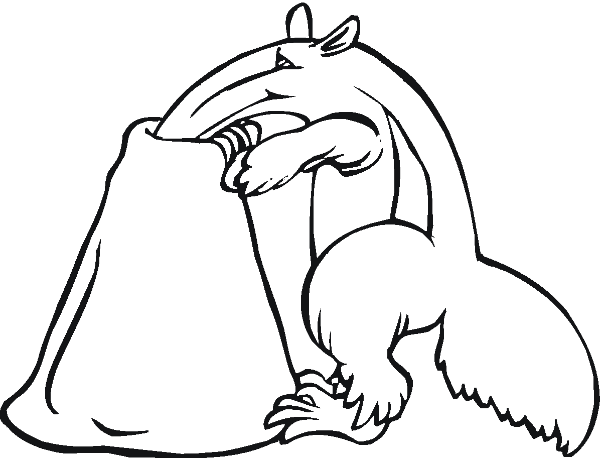 Free AnteaterColoring Pages