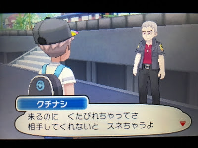 ポケットモンスター ムーン その12 ゲームこそ我が人生