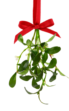 Free Mistletoe Cliparts Transparent Download Free Clip Art Free Clip Art On Clipart Library
