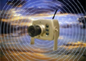 Hawk Eye Nature Cam, Wireless