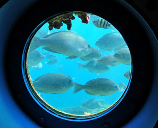 海中展望塔 串本海中公園 海と水族館を丸ごと楽しめる複合施設
