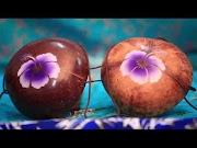 Terbaik Kreasi Kerajinan Tangan Kejaya Handicraft Banyuwangi, Paling Baru!